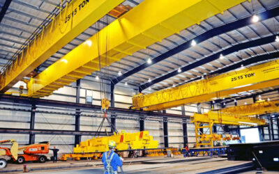 Transform Your Workflow with Advanced Hoist and Crane Systems